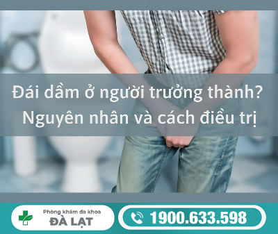ĐÁI DẦM Ở NAM VÀ NỮ TRƯỞNG THÀNH: NGUYÊN NHÂN VÀ CÁCH ĐIỀU TRỊ 