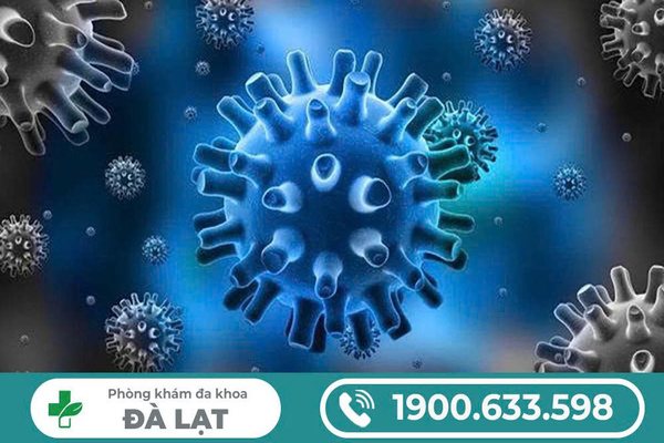 Tìm Hiểu Nguyên Nhân Tại Sao Bị Mụn Rộp Sinh Dục 