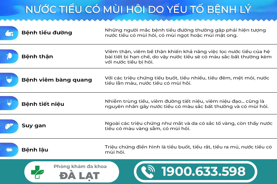 NƯỚC TIỂU CÓ MÙI HÔI Ở NAM VÀ NỮ