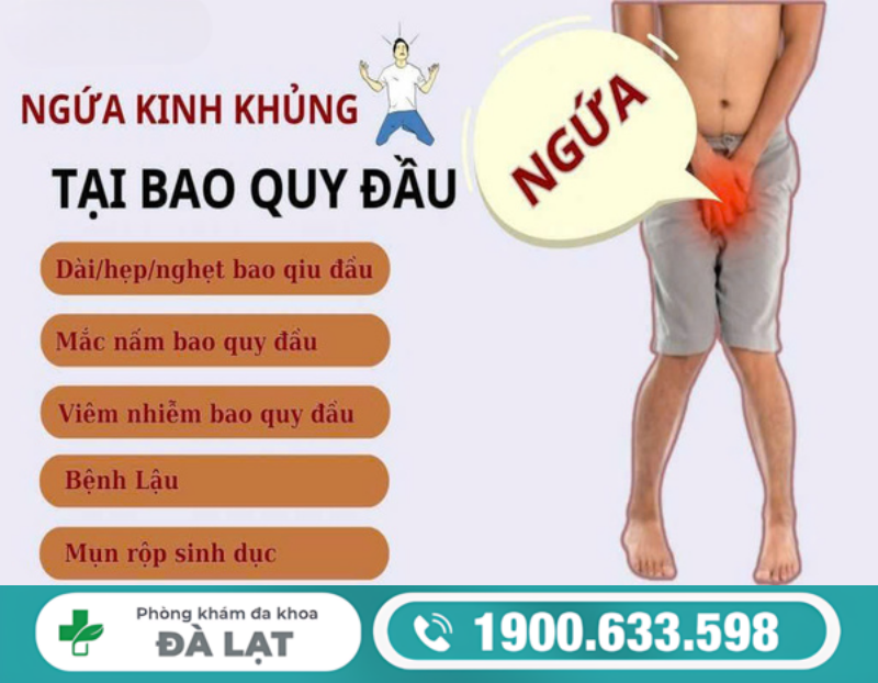 CÁC NGUYÊN NHÂN PHỔ BIẾN GÂY NGỨA VÙNG KÍN NAM GIỚI 