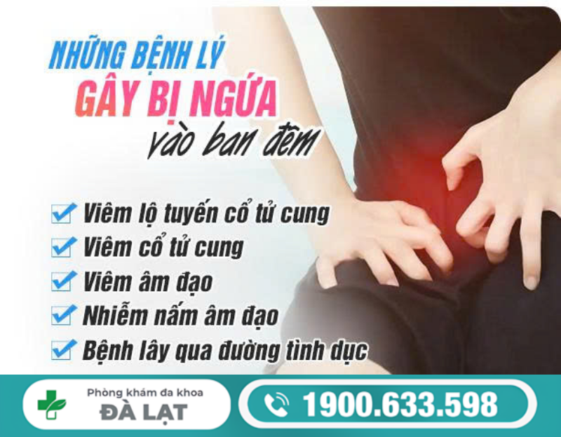 NAM GIỚI BỊ NGỨA VÙNG KÍN VÀO BAN ĐÊM: NGUYÊN NHÂN VÀ CÁCH ĐIỀU TRỊ 
