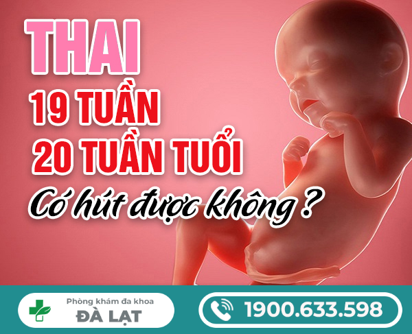 GIẢI ĐÁP: THAI 19 TUẦN, 20 TUẦN CÓ HÚT ĐƯỢC KHÔNG?
