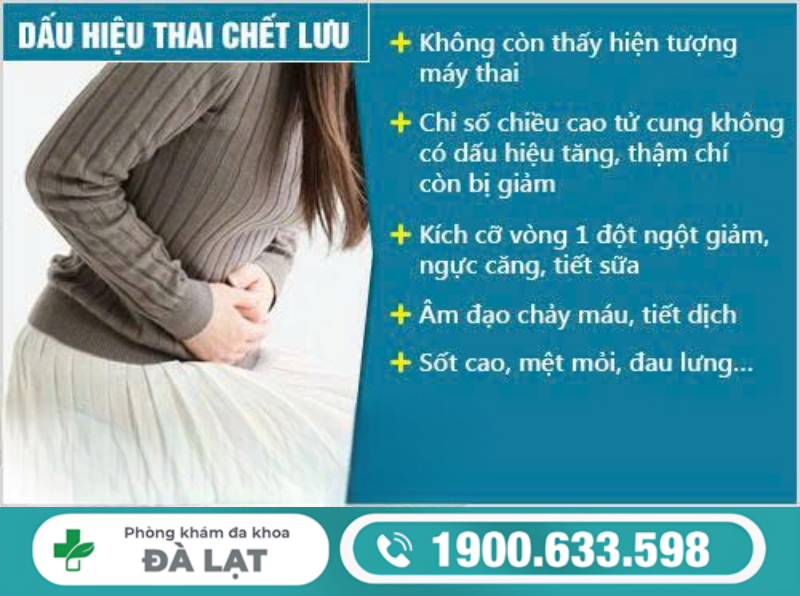 BIỂU HIỆN CỦA THAI LƯU PHỤ NỮ CẦN BIẾT