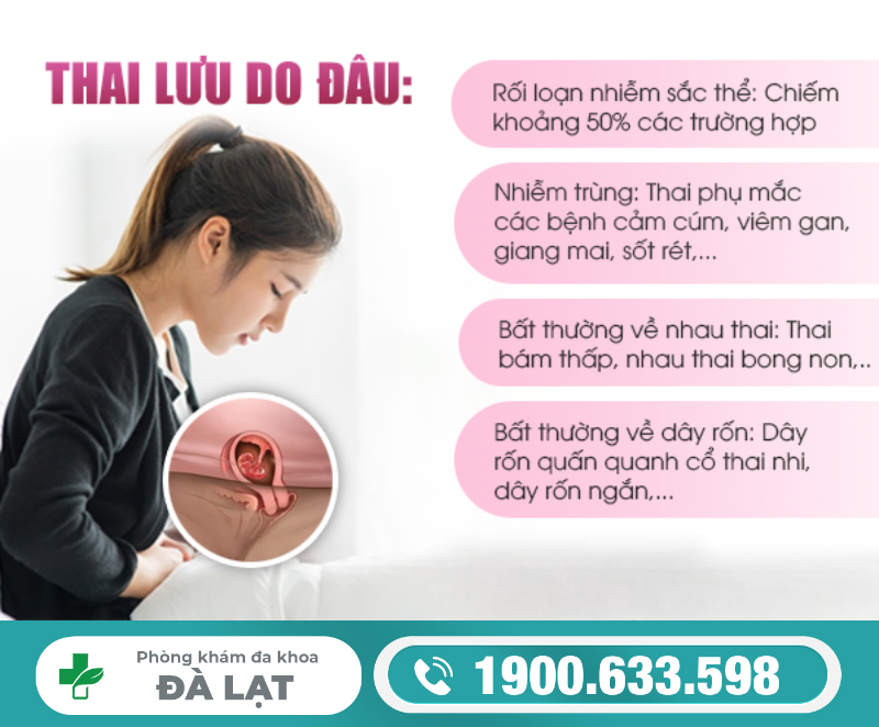 THAI NGỪNG PHÁT TRIỂN: NGUYÊN NHÂN VÀ CÁCH ĐIỀU TRỊ 