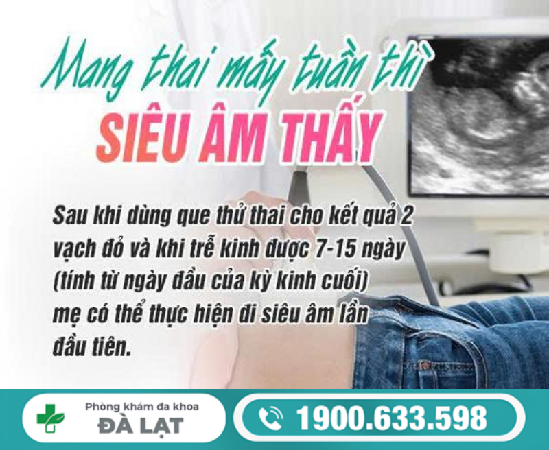 GIẢI ĐÁP: MANG THAI MẤY TUẦN THÌ SIÊU ÂM THẤY?