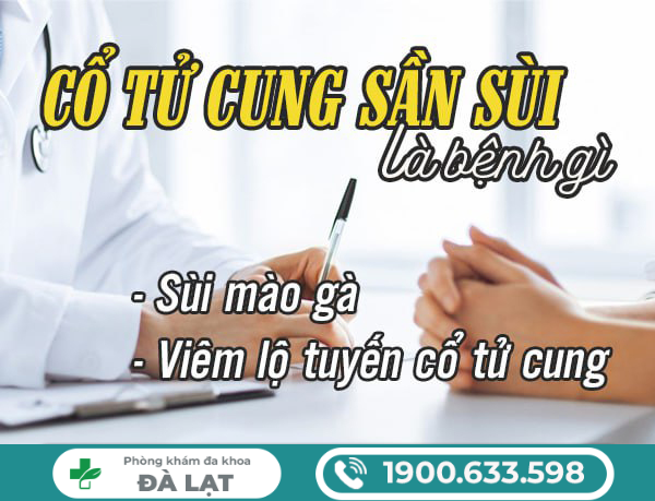 CỔ TỬ CUNG SẦN SÙI CẢNH BÁO BỆNH LÝ NGUY HIỂM 