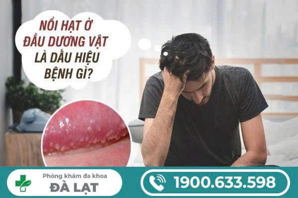 Nổi Hạt Ở Bao Quy Đầu Nam Giới 
