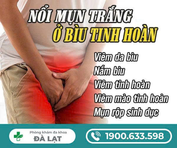 Mụn Trắng Ở Bìu Tinh Hoàn 