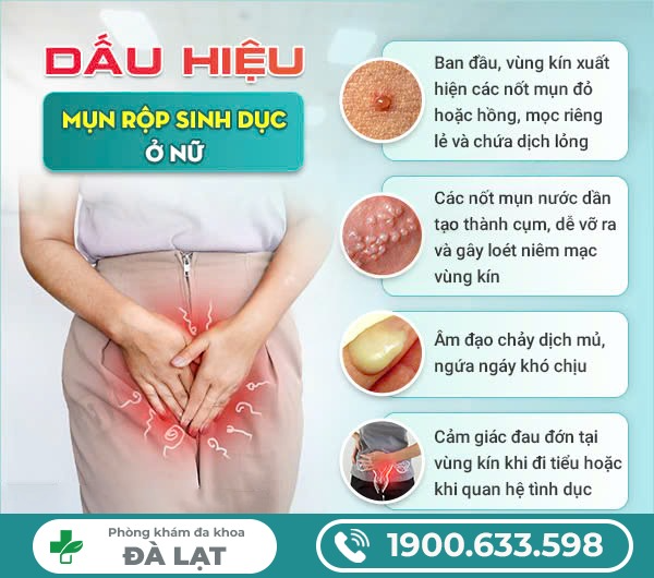 Mọc Mụn Rộp Ở Âm Đạo Nữ Giới 