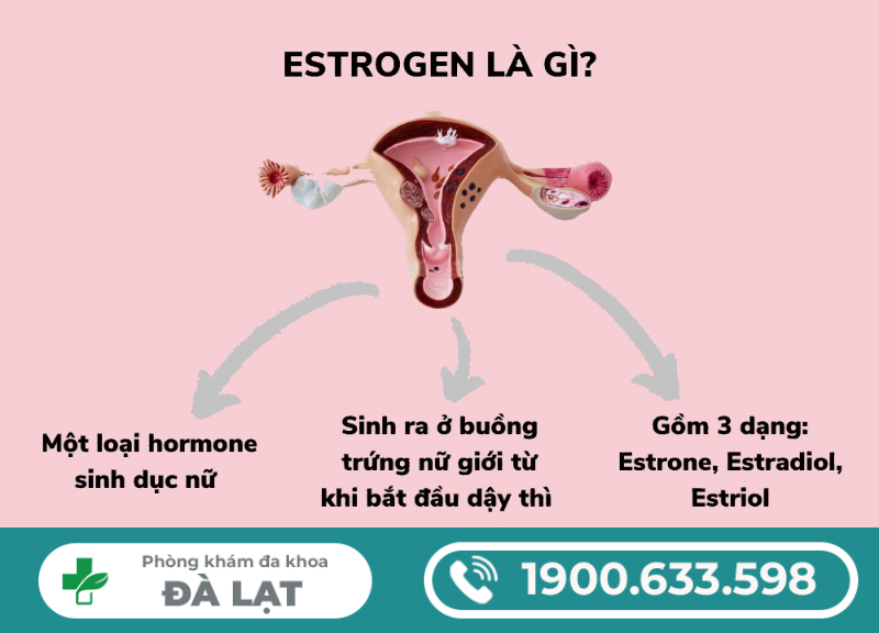 NỘI TIẾT TỐ NỮ LÀ GÌ?