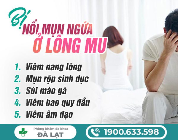 BỊ NỔI MỤN NGỨA Ở LÔNG MU