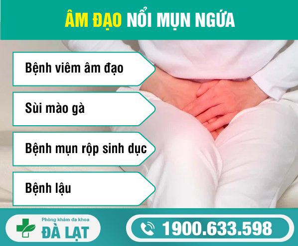 Âm Đạo Bị Nổi Mụn Ngứa ở Nữ Giới 