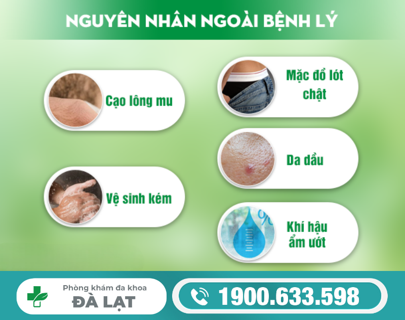 NỔI HẠT Ở VÙNG KÍN