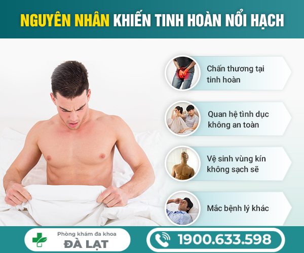 NỔI HẠT Ở TINH HOÀN