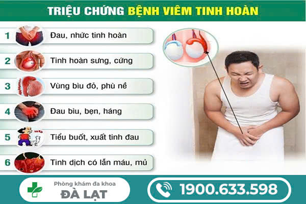 NHẬN BIẾT CÁC BIỂU HIỆN VIÊM TINH HOÀN THƯỜNG GẶP