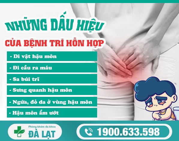 Trĩ Hỗn Hợp Là Gì? Nguyên Nhân, Dấu Hiệu và Cách Điều Trị