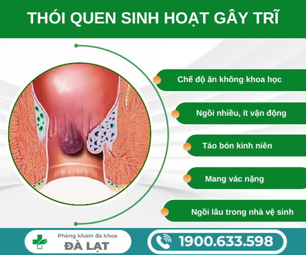 BỆNH TRĨ: NGUYÊN NHÂN GÂY RA VÀ CÁCH ĐIỀU TRỊ