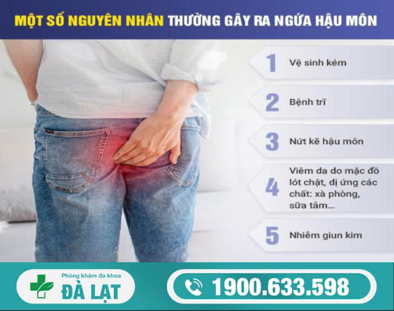 TÌM HIỂU CÁC NGUYÊN NHÂN GÂY NGỨA HẬU MÔN     