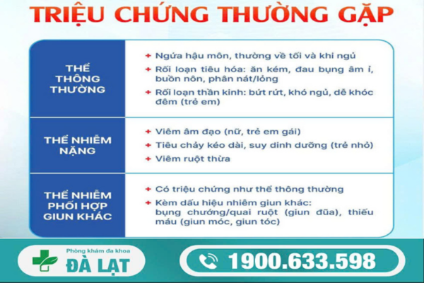 CÁCH TRỊ GIUN KIM NGỨA HẬU MÔN HIỆU QUẢ 
