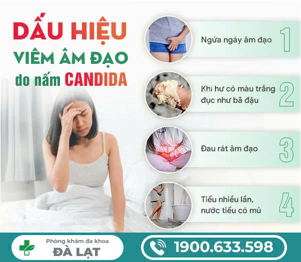 CÁCH CHỮA NẤM CANDIDA Ở NỮ GIỚI HIỆU QUẢ 